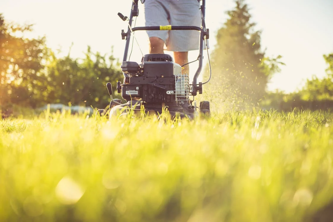 Benefits of Professional Lawn Care