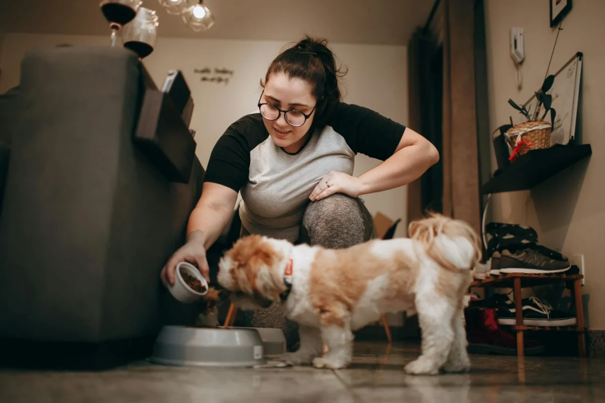 Here's How You Can Enhance Your Pet's Lifestyle This Summer