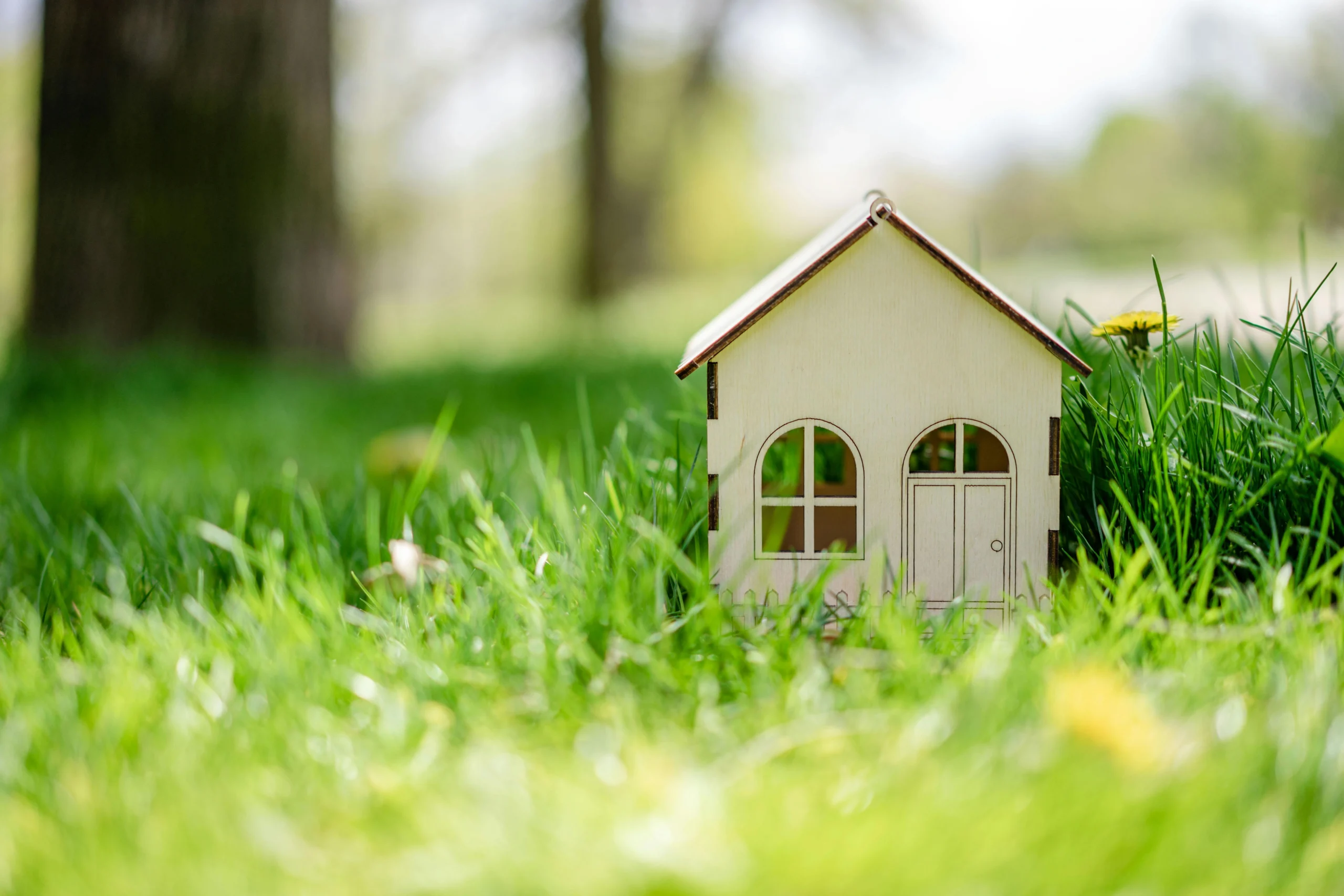 exploring-pigeimmo-ai-powered-platform-transforming-real-estate